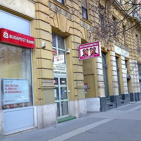 Azurro Hostel *